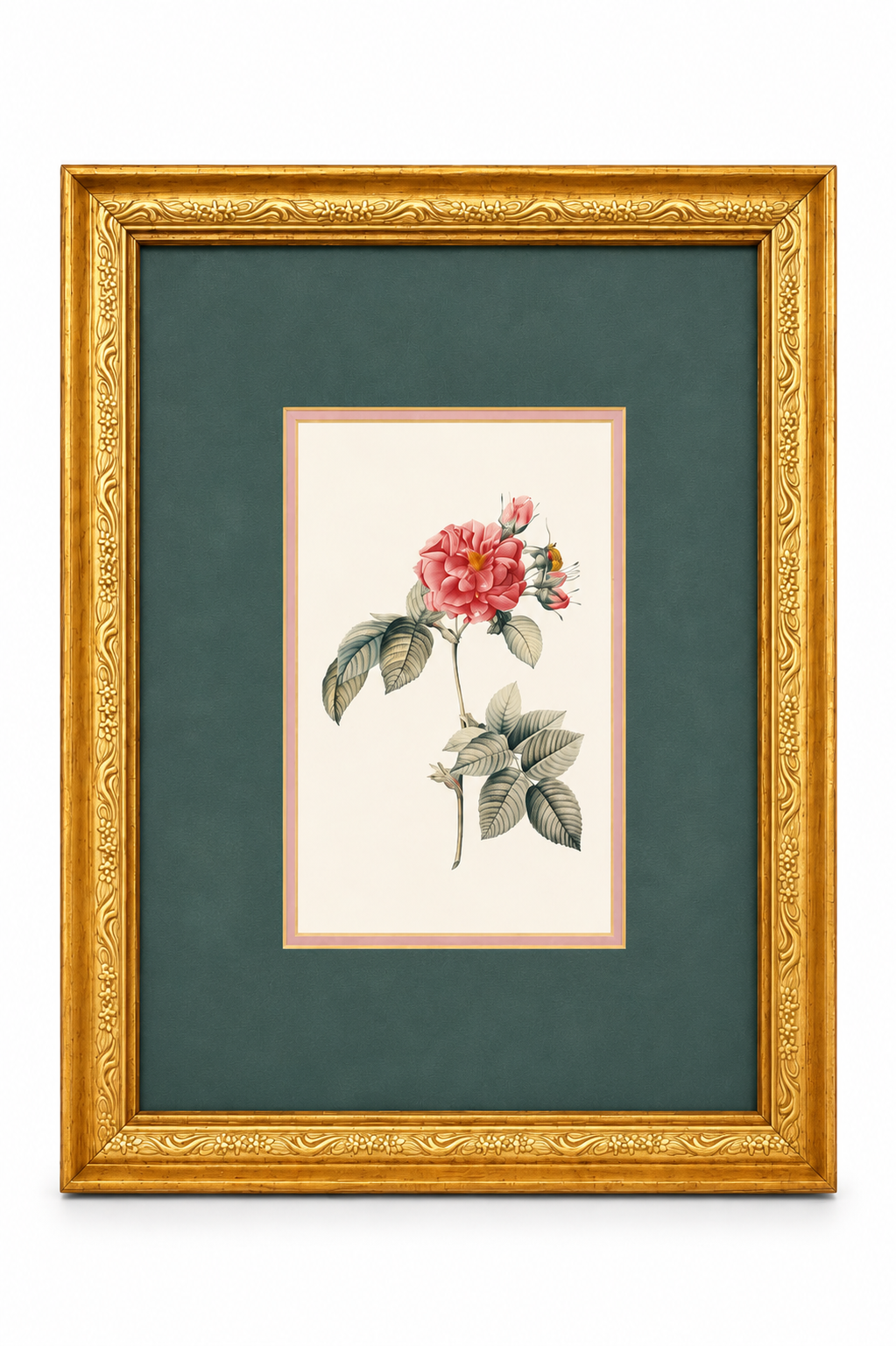 Vintage Botanical Floral Print in Ornate Gold Frame | Framed Rose Wall Art | Cottage, Victorian & Traditional Décor
