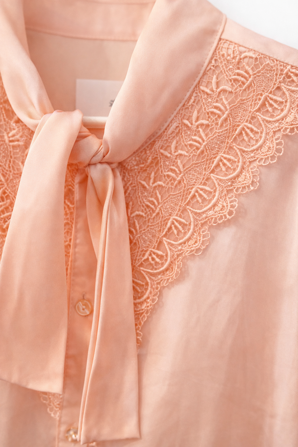 Peach Parlor Lace Blouse | Romantic Vintage Tie-Neck Top