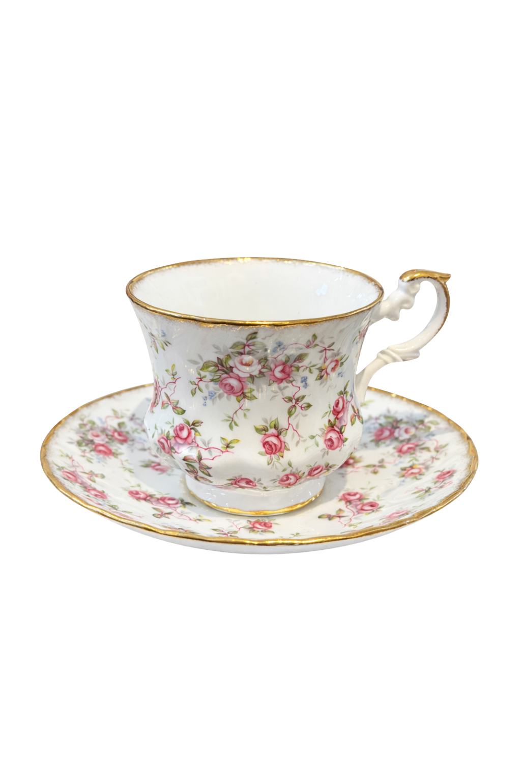 Duchess Rose Garden Teacup & Saucer | Royal Dover Fine Bone China England Vintage Floral