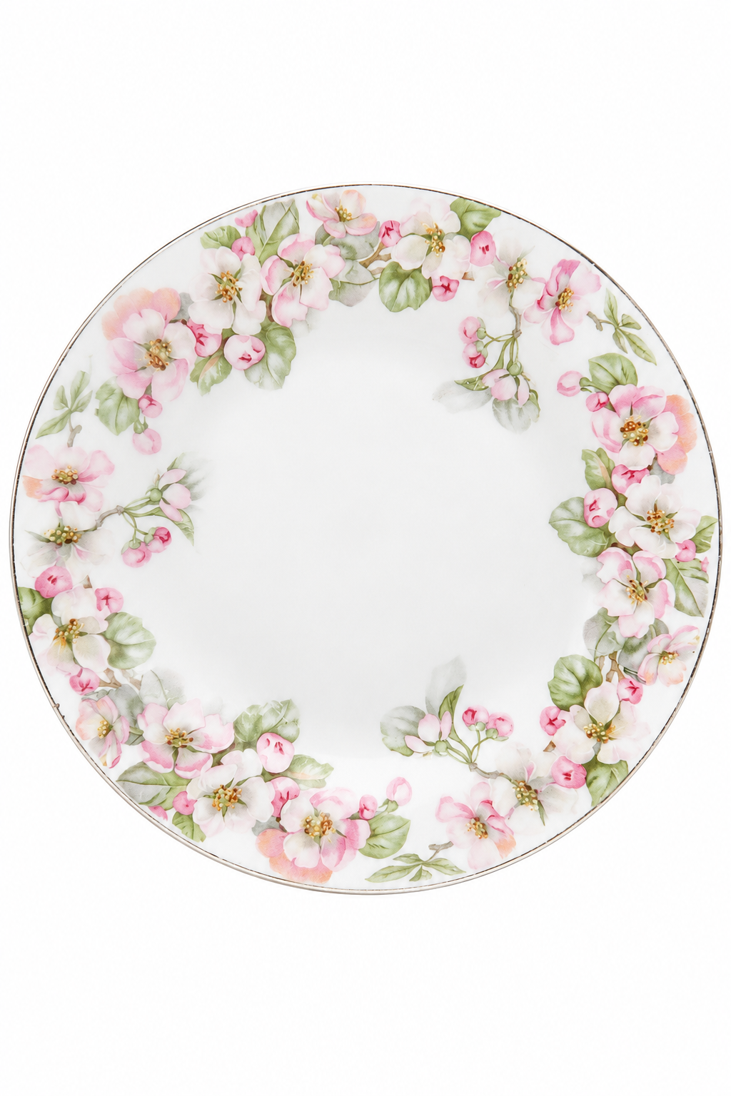 Antique 1912–1917 J & C Bavaria GHBC Floral Cabinet Plate | Cleveland, Ohio | 8.5” Display Plate