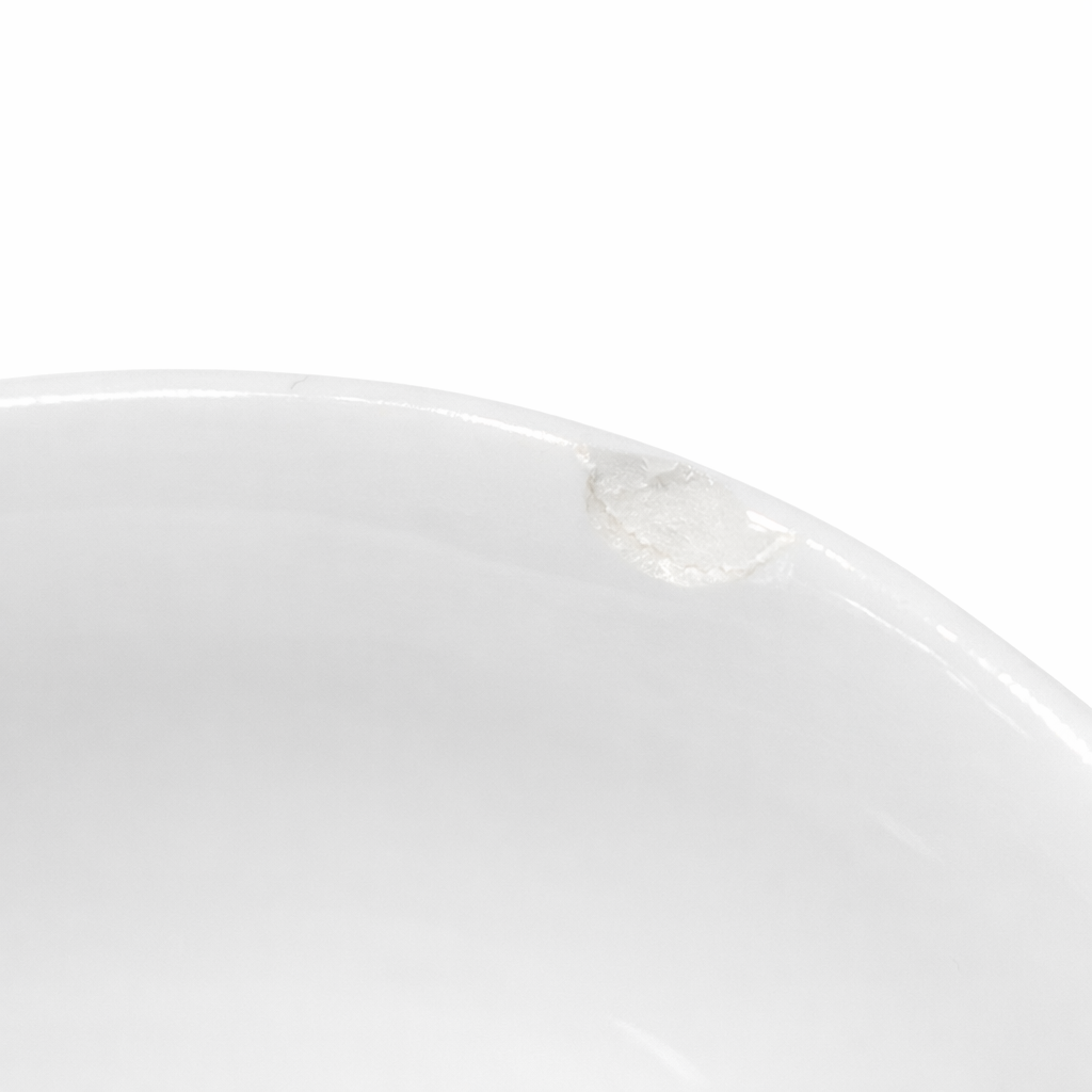 Von Henneberg Bavaria Floral China 6-Piece Place Setting | German Porcelain Plate & Bowl Set